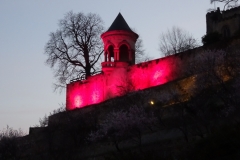 ORG_DSC02081