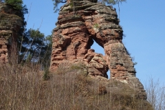 ORG_DSC02090