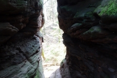 ORG_DSC02101