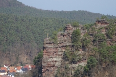 ORG_DSC02103