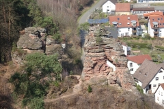 ORG_DSC02104