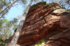 ORG_DSC02106