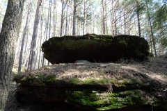 ORG_DSC02107