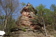 ORG_DSC02108