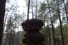 ORG_DSC02114