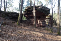 ORG_DSC02127