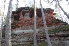 ORG_DSC02129