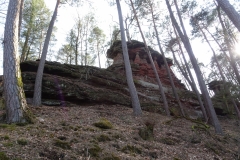 ORG_DSC02130