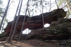 ORG_DSC02132