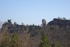 ORG_DSC02138