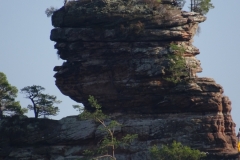 ORG_DSC02139