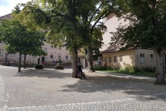 IMG-20190728-WA0007