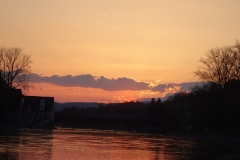 ORG_DSC02213