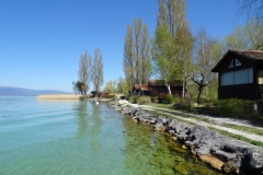 ORG_DSC02220