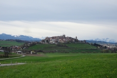 ORG_DSC02231