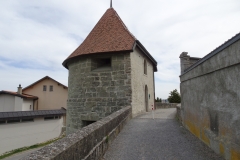 ORG_DSC02237