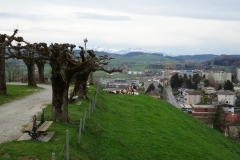 ORG_DSC02243