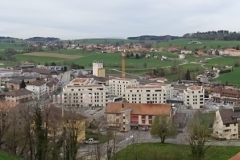 ORG_DSC02244