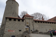 ORG_DSC02257