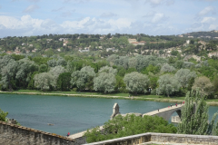 ORG_DSC02303