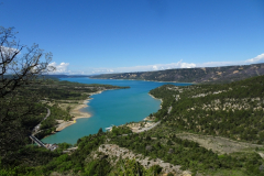 ORG_DSC02438