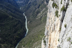 ORG_DSC02459