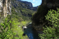 ORG_DSC02521