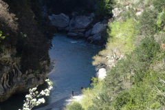 ORG_DSC02532