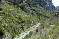 ORG_DSC02578