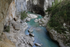 ORG_DSC02609