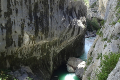 ORG_DSC02616