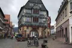 IMG_1262