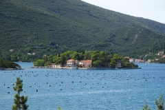 DSC03219