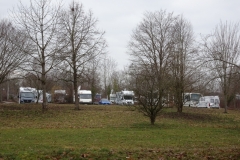 ORG_DSC01985