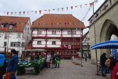 ORG_DSC01986