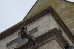 ORG_DSC01987