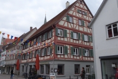 ORG_DSC01989