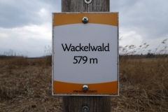 ORG_DSC01993