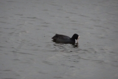ORG_DSC02005