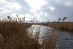 ORG_DSC02019