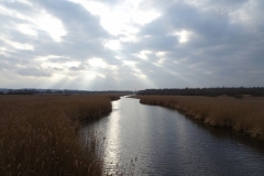 ORG_DSC02020