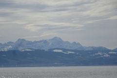 ORG_DSC02033