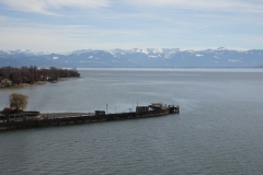 ORG_DSC02034