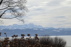 ORG_DSC02043
