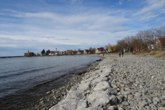 ORG_DSC02044