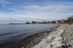 ORG_DSC02045