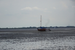 DSC02961