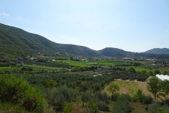 DSC03530