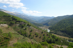 DSC03540