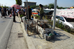 DSC03624